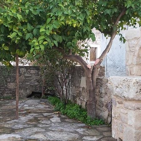 Small Traditional House In Asfendiou Kos Agios Dimitrios  المظهر الخارجي الصورة