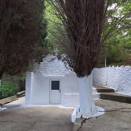 Small Traditional House In Asfendiou Kos Agios Dimitrios  المظهر الخارجي الصورة
