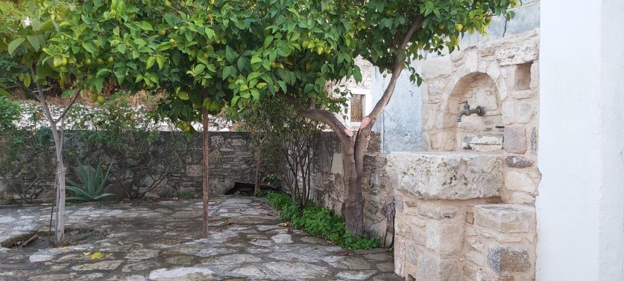 Small Traditional House In Asfendiou Kos Agios Dimitrios  المظهر الخارجي الصورة