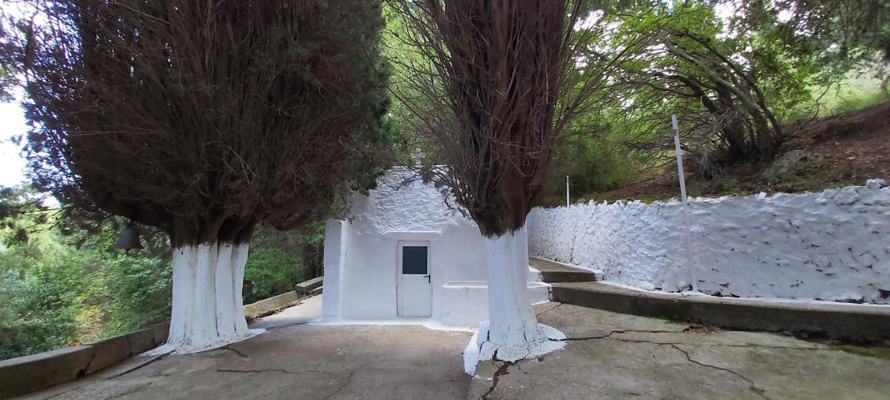 Small Traditional House In Asfendiou Kos Agios Dimitrios  المظهر الخارجي الصورة